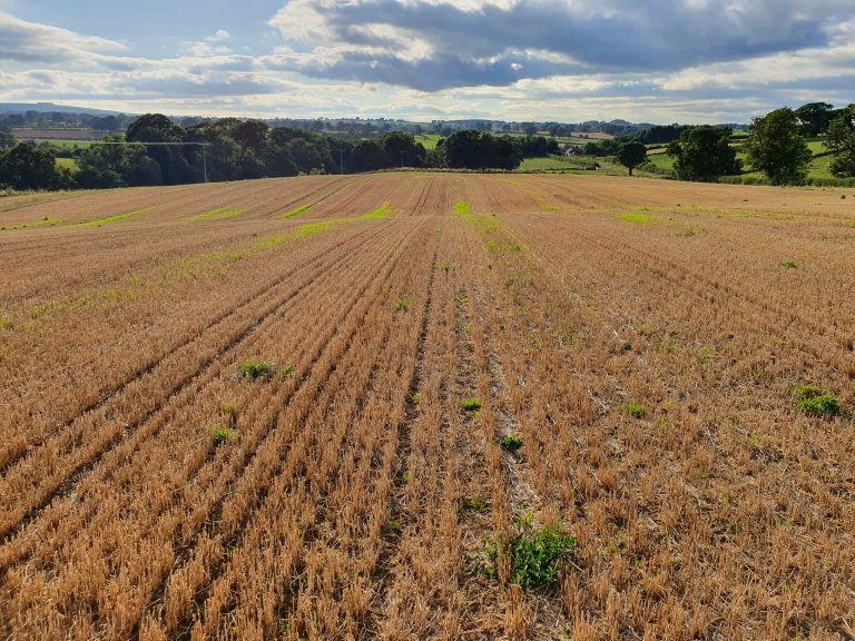 Properties For Sale Ian Ritchie Land Agents