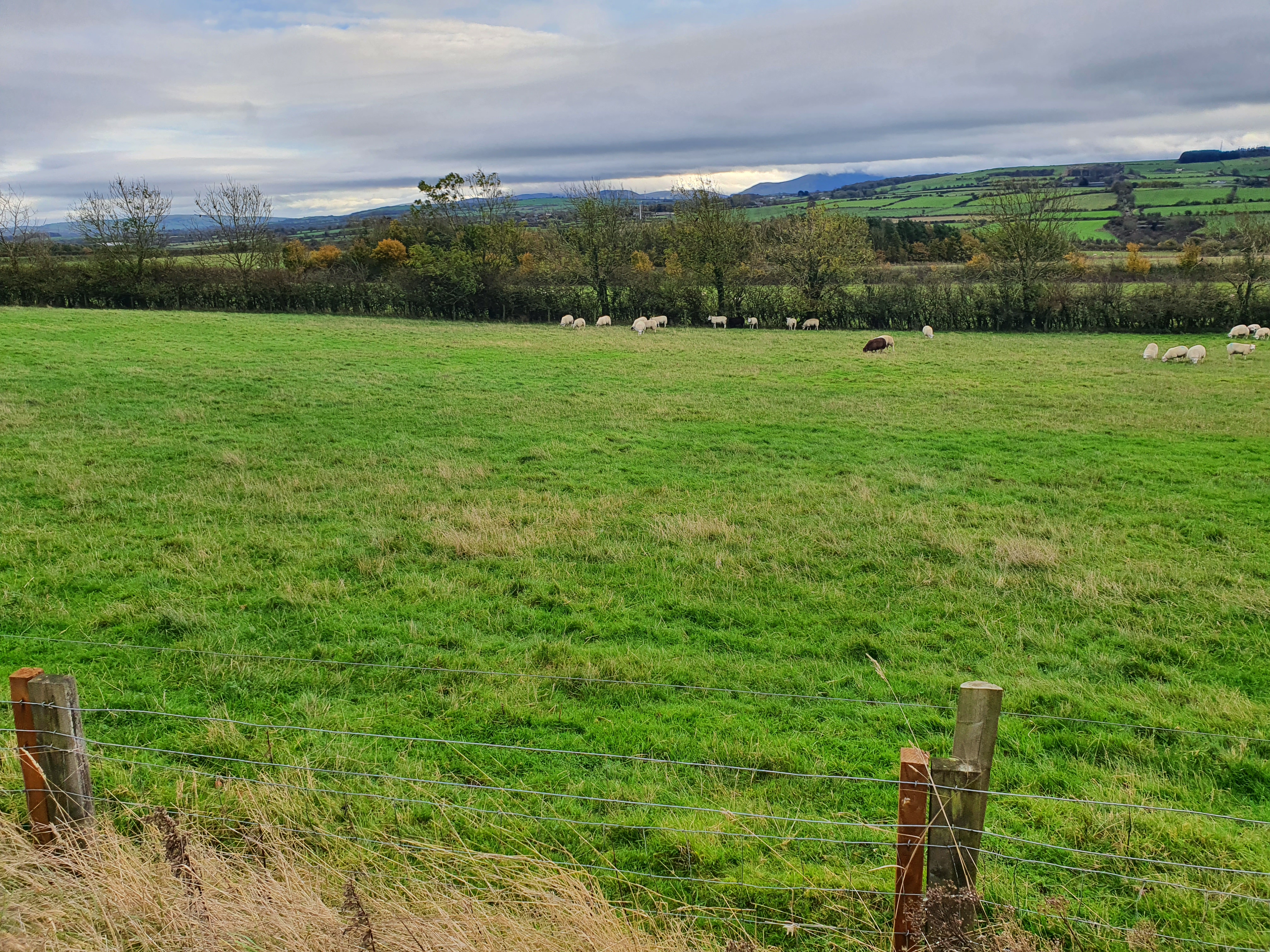 *** NEW *** 2 Building plots and adjoining paddock at Oughterside, Wigton CA7 2PY – Ian Ritchie Land Agents