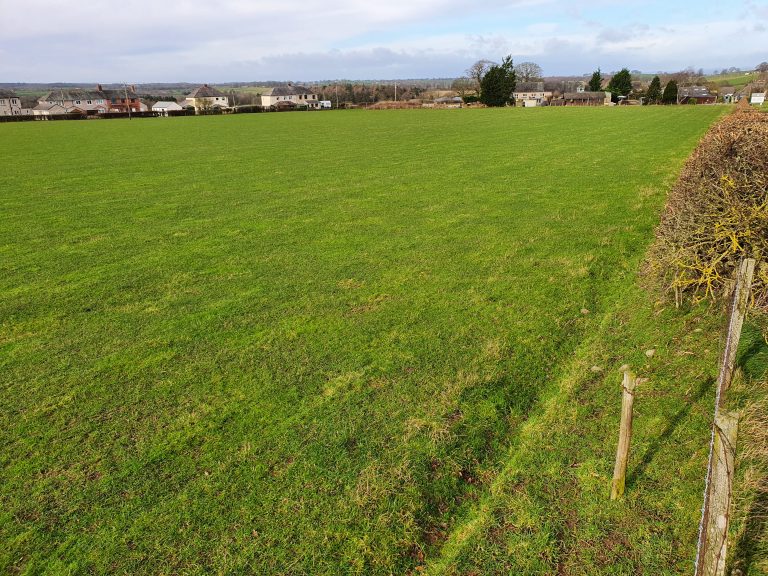 Properties For Sale Ian Ritchie Land Agents