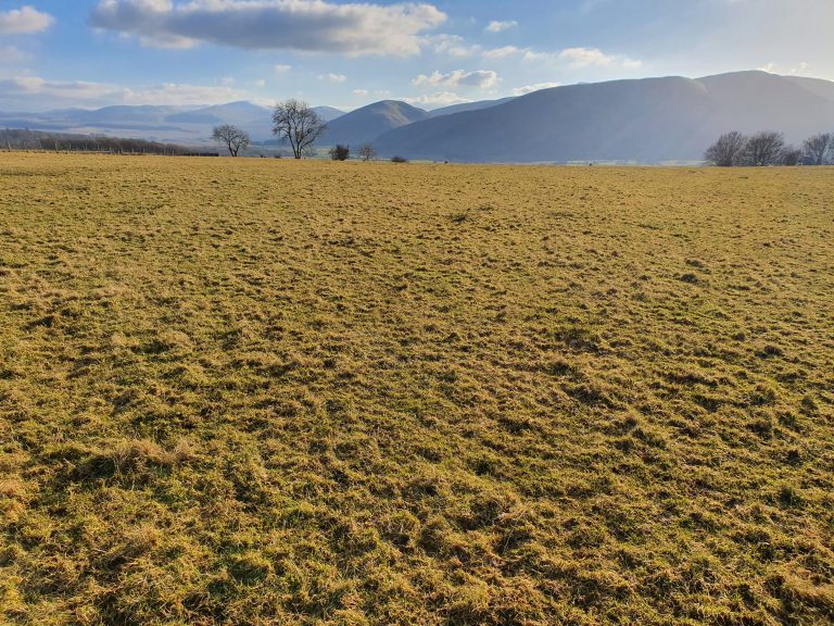 Properties For Sale Ian Ritchie Land Agents