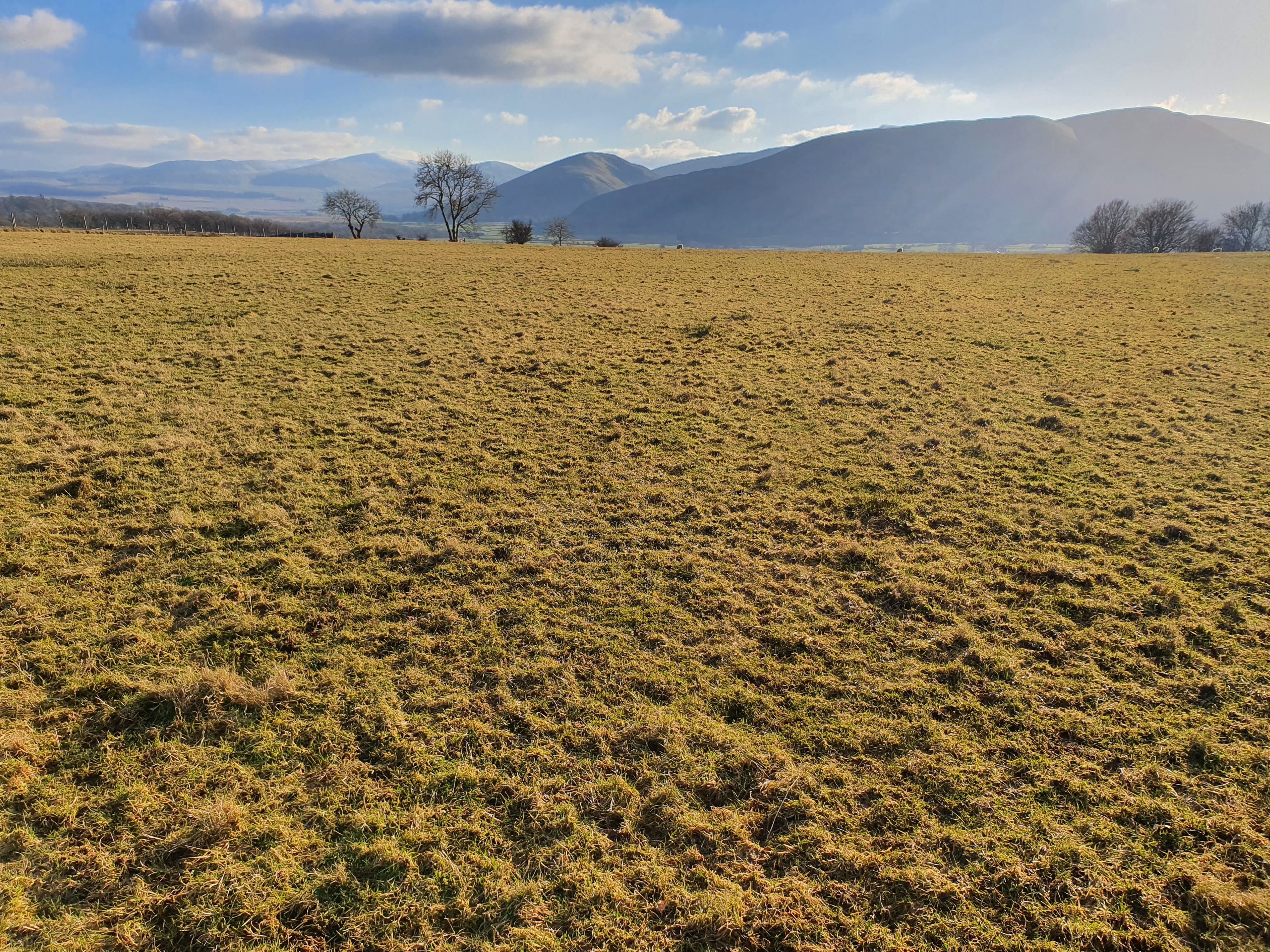 NEW – Land at Scales, Berrier CA11 0XE – Ian Ritchie Land Agents