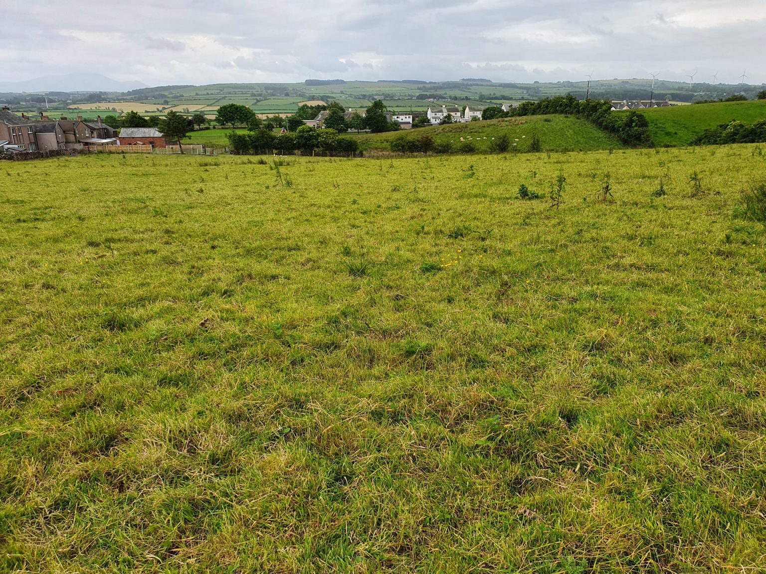 Properties For Sale Ian Ritchie Land Agents